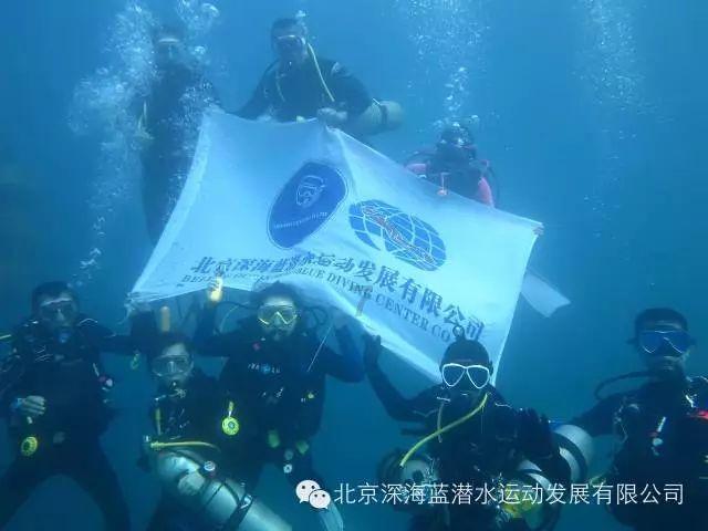 卡通卡车拼拼看
